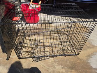 Lg dog crate