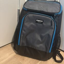 igloo cooler backpack 