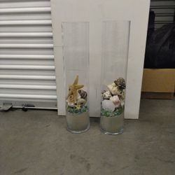 Seashell Decorations