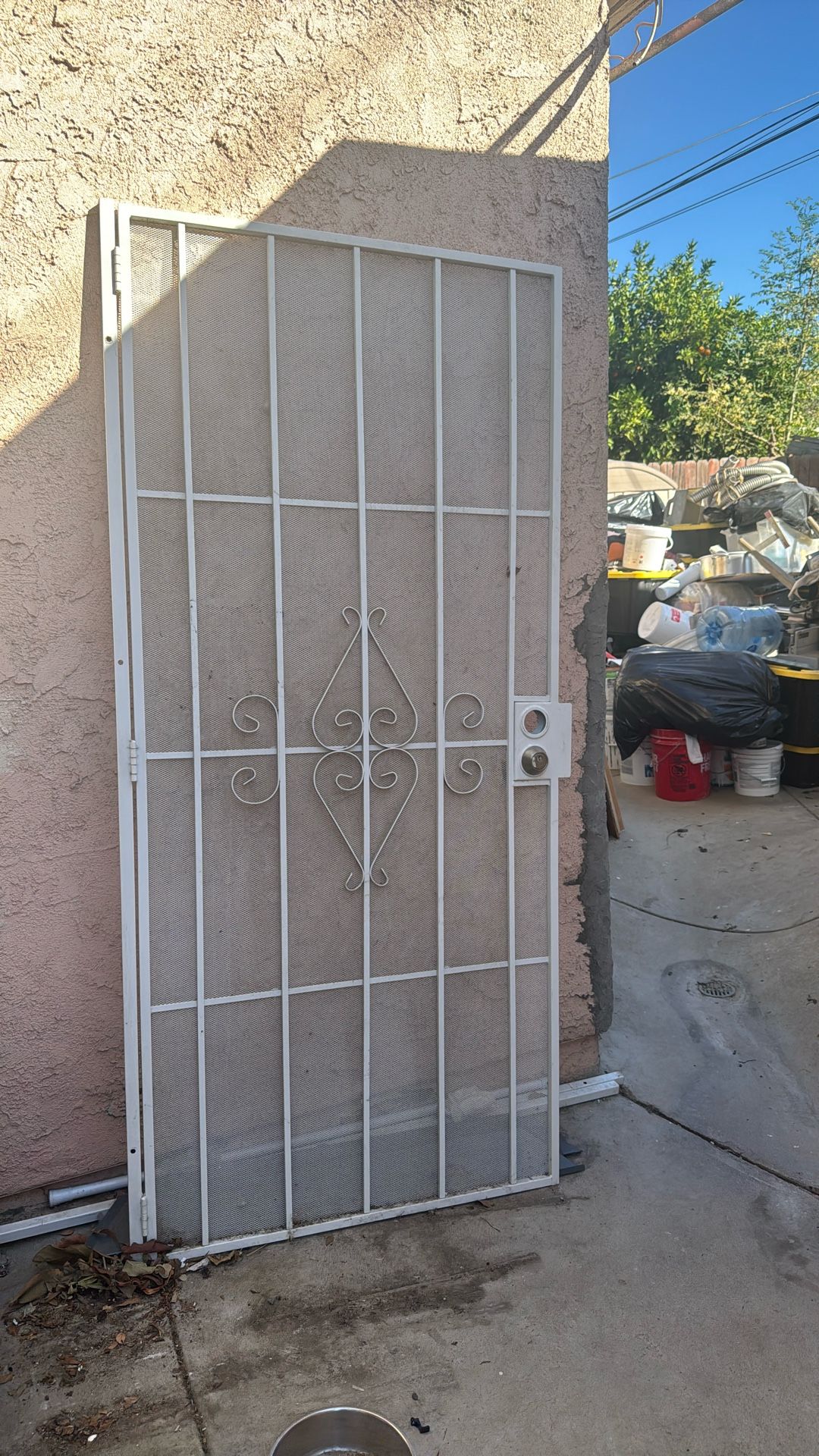 Security Entry Door