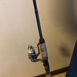 Ugly Stik Fishing Rod 