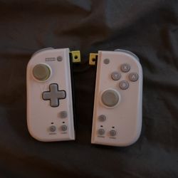 Nintendo Switch Attatchment Controls 