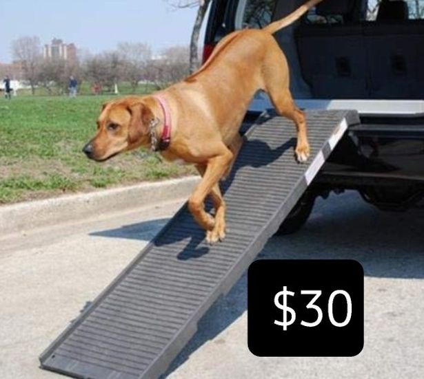 folding dog ramp - 500 lb limit