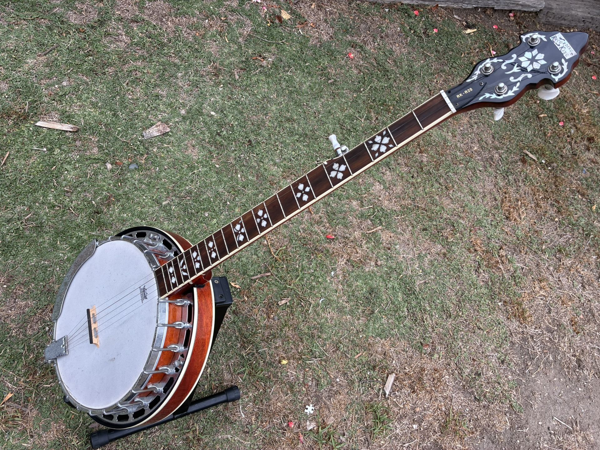 5 string resonator banjo
