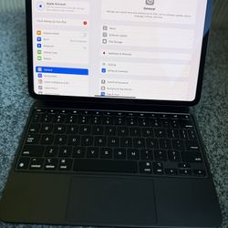 Unlocked iPad Pro 11inch M4 256gb + Cellular