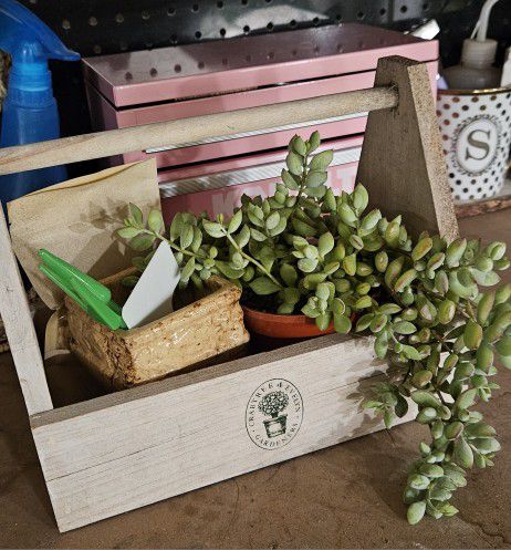 DIY Succulent Kit