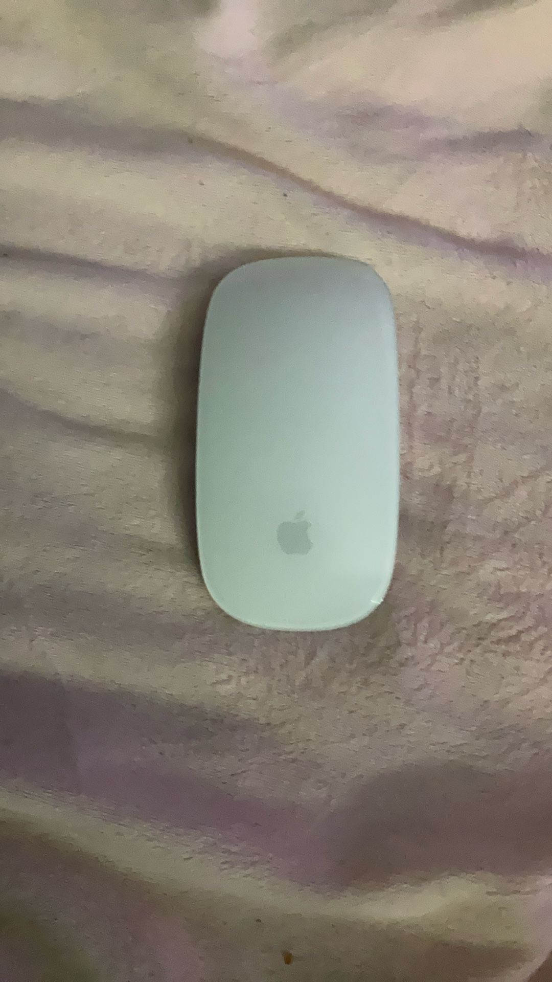 Magic Apple Mouse