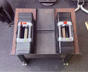 Powerblocks Dumbbells with Stand