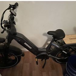 Himiway Big Dog E-bike