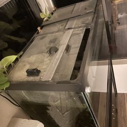 65 Gallon Tank With Stand 