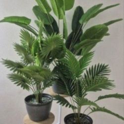 *** REDUCED *** Faux Potted Plants @ Lasting Creations