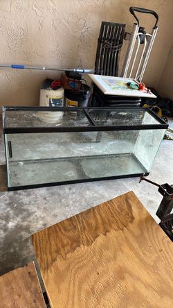 60 gal aquarium