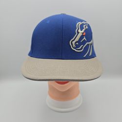 Nike Boise State Idaho Broncos Fitted Hat OSFA