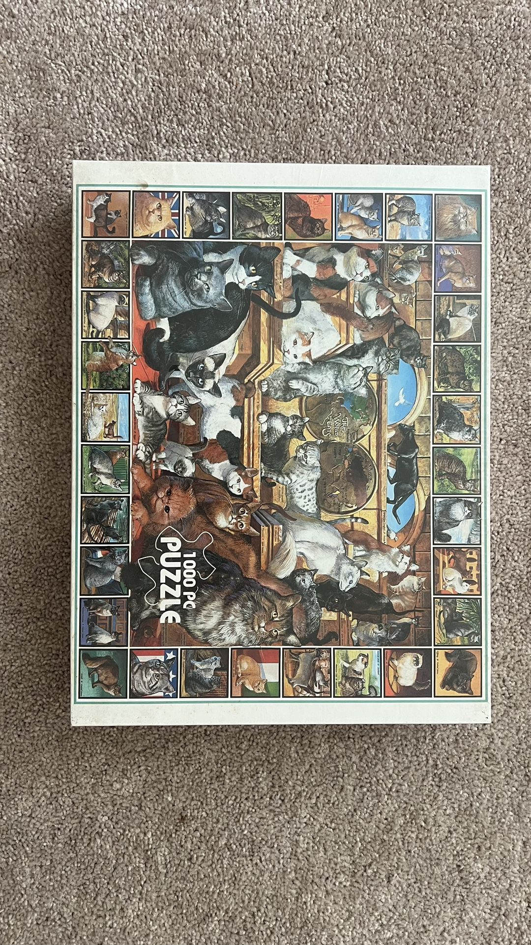 Cat Puzzle