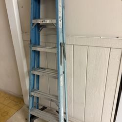 Werner 6 Ft Foot Fiberglass Ladder 