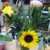 🌻🌼🌸