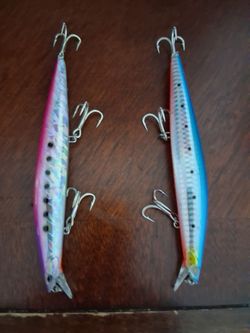 Asesoríos de pesca