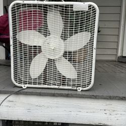 Fan