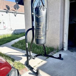 Everlast Stand And Punching Bag