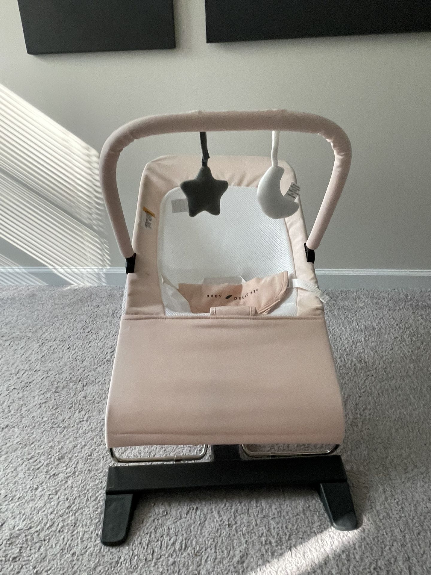 Baby Bouncer (Pink)