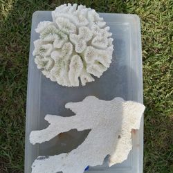 Coral Rock For Fish Tank $15  Each
