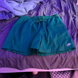Nike Dry Fit Shorts 