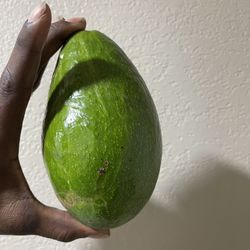 Avocado