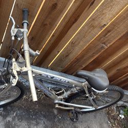 Pacific SX 200 mountain bike