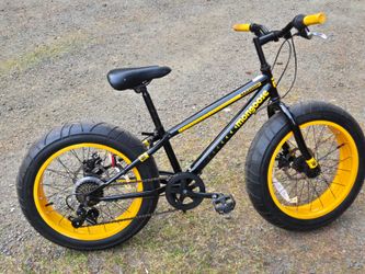 Schwinn massif bicycle