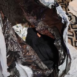 Baby Boy Clothes 