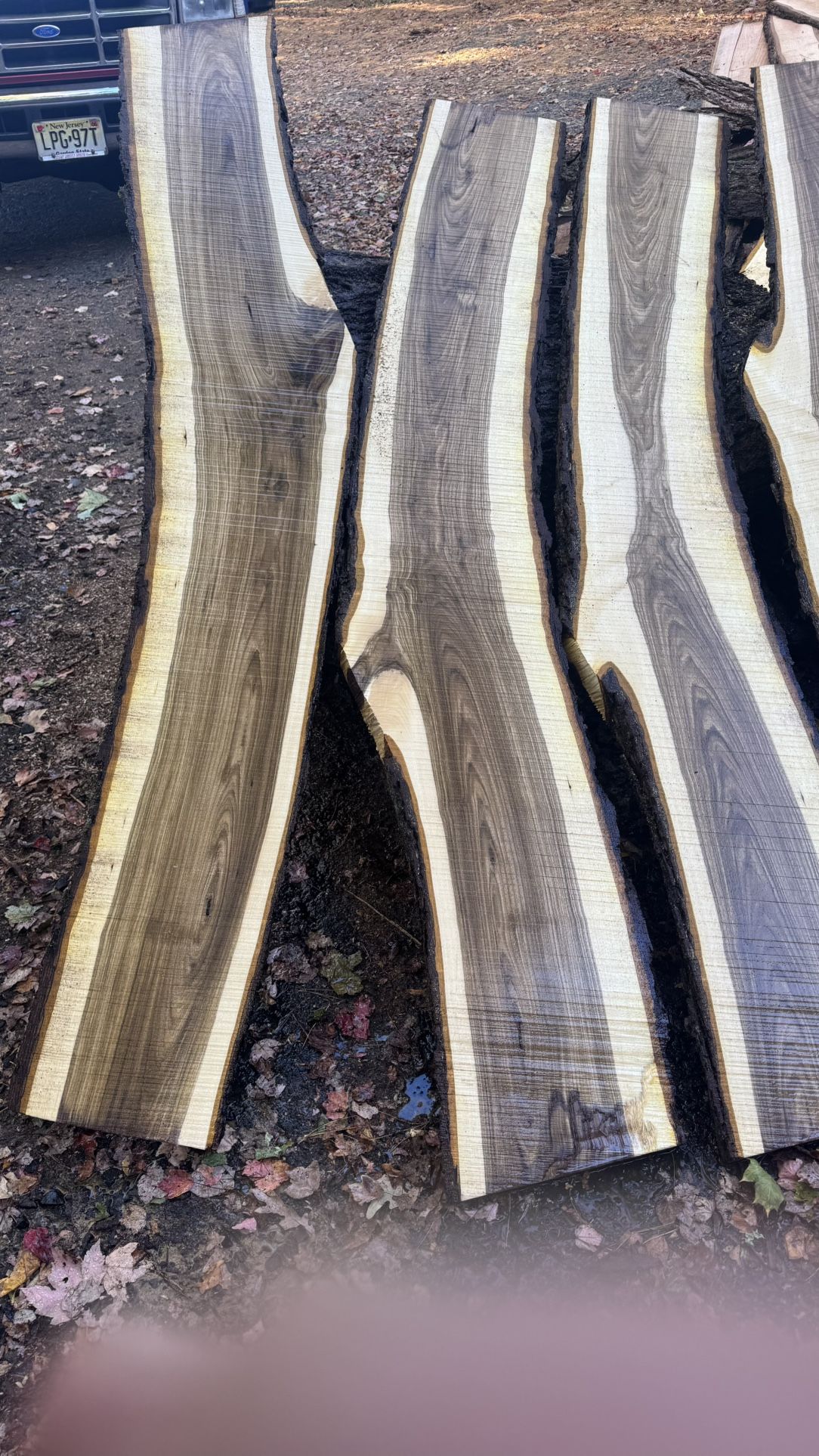 Walnut Slabs 