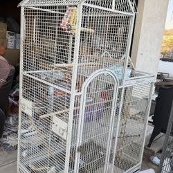 Bird Cage