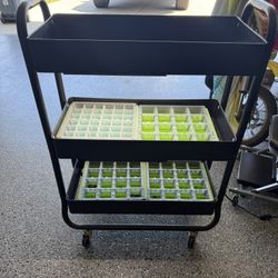 Black 3 Tier Rolling Cart - Seed Starting / Grow Lights 