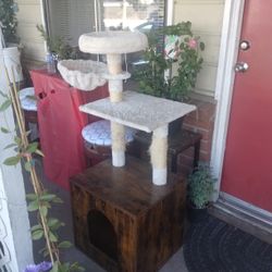 Cat House/Play Ground 