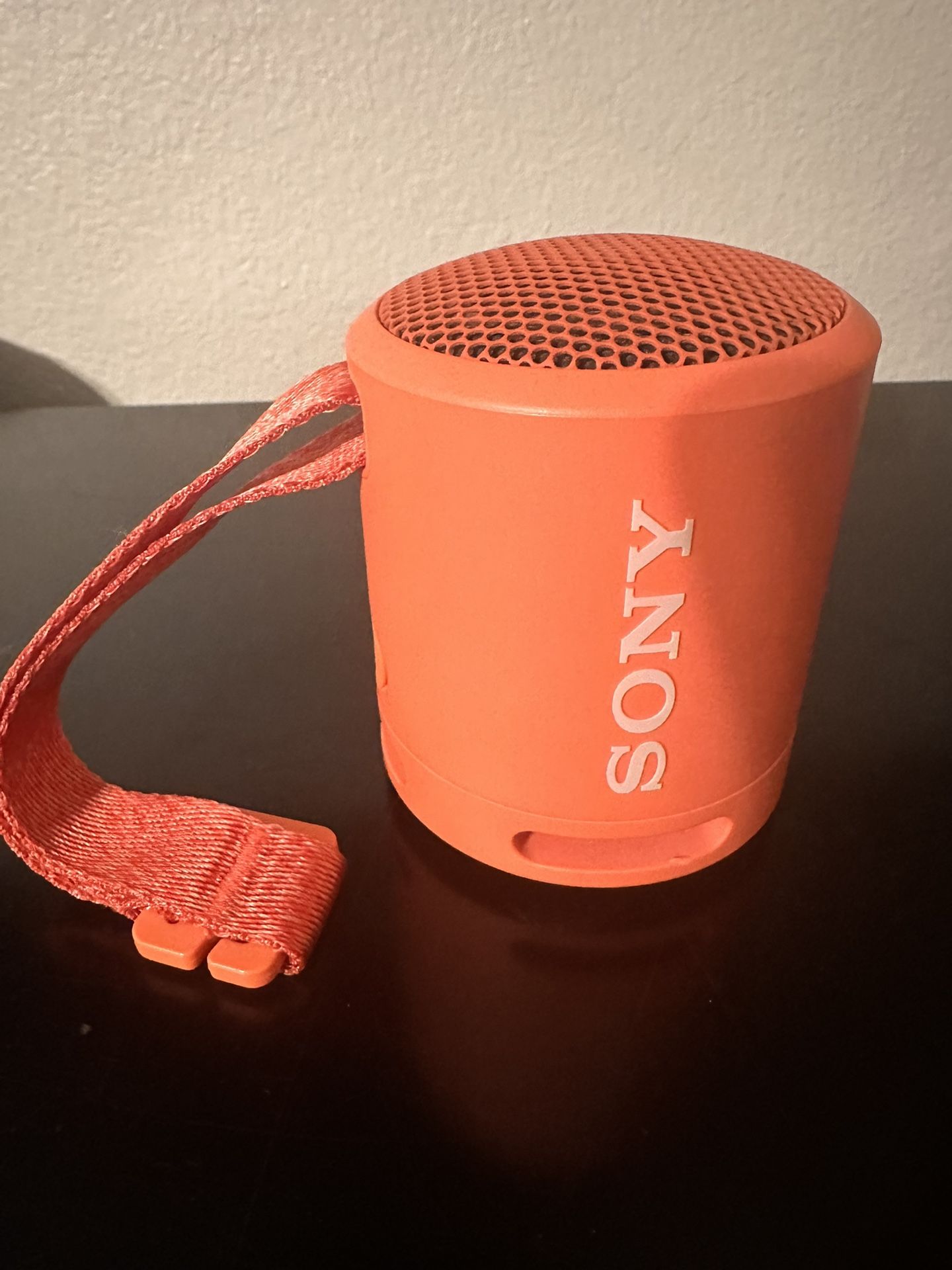 Sony Portable Speaker