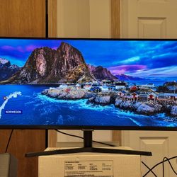 34" Samsung ViewFinity S50GC Ultra-WQHD 100Hz AMD FreeSync™ HDR10 Monitor - LIKE NEW!! PAID $350