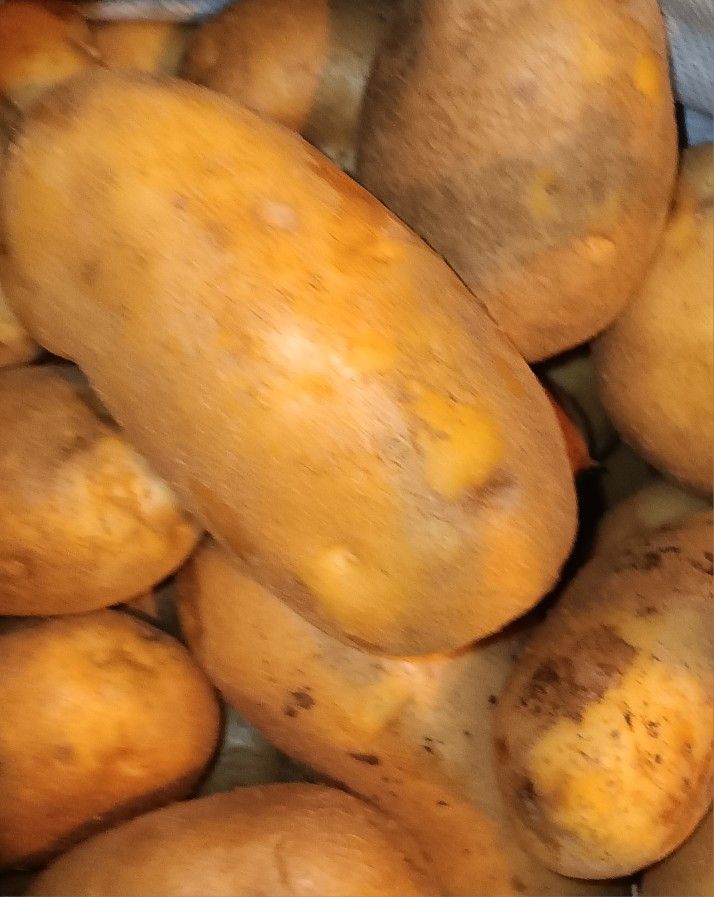 POTATOES