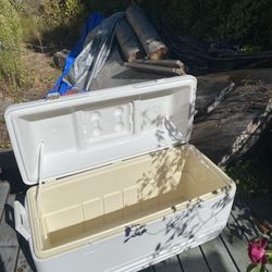Igloo Insulated Cooler 