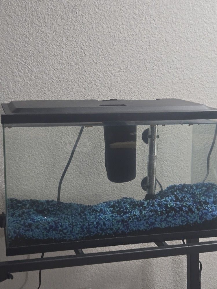 10 Gallon Fish Tank