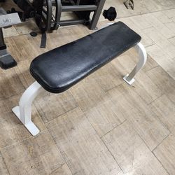 Cybex Flat Bench Gym Equipment Exercise Fitness 