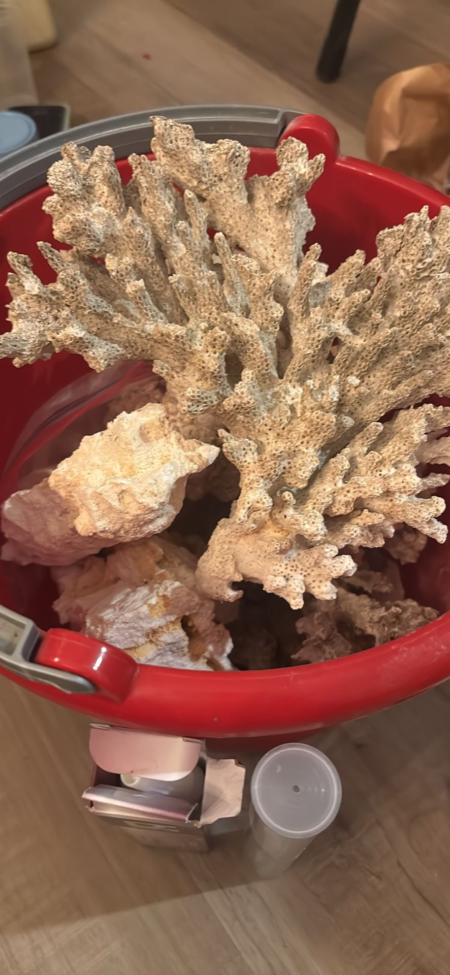 Nice Reef Rock And Reef Glue & Putty For Aquarium