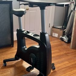 Flexispot Deskcise Pro
