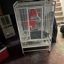 Giant Bird Cage 