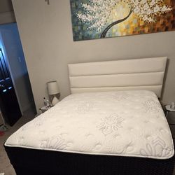 10" Queen Medium Mattress 