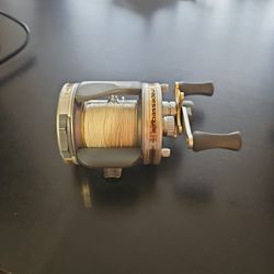 Reels Abu Ambassaduer