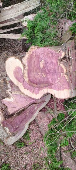 cherry wood and more