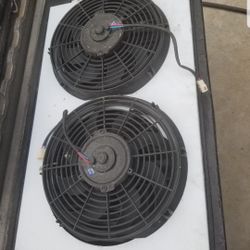 Dual Far Set Up 10inch Fans $300