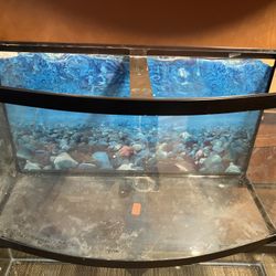 Bow Tank ,stand ,light