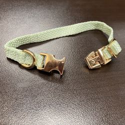 Extra-Small Dog Collar