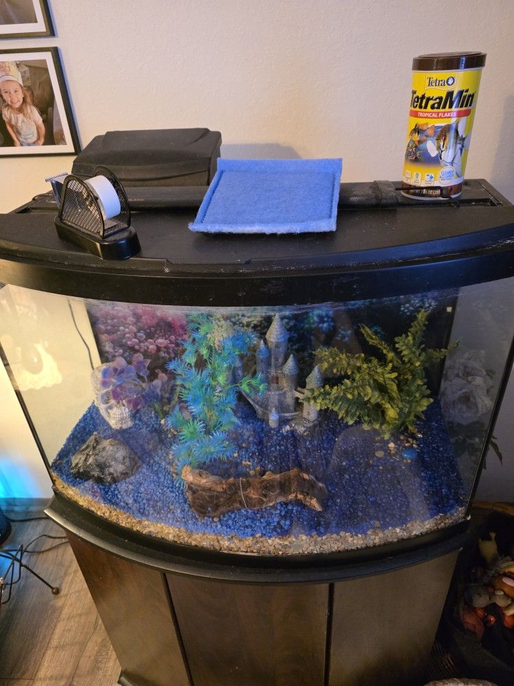 Fish Tank And Cabinet  Everything  You Need Except For Water And Fish.